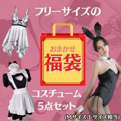 新品 フリーサイズ コスチューム 5点セット 福袋 お任せ コスプレ ストッキング 網タイツ ボディストッキング 全身タイツ セクシー ランジェリー コスプレ インナー ベビードール レディース メンズ 女装 M L 新品 フリーサイズ