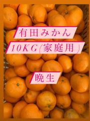 有田みかん10kg(家庭用)