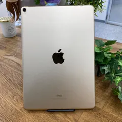 ジャンク】256G iPad Pro 10.5インチシルバー ジャンク】iPad