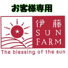 3UN3UN様専用ミニトマト9kg