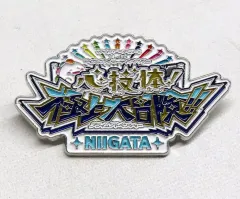 2025年最新】メモリアルピンズ liellaの人気アイテム - メルカリ