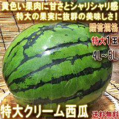 栽培50年西瓜農家直送鮮度抜群☆著名人様御用達西瓜の匠厳選某ブランド