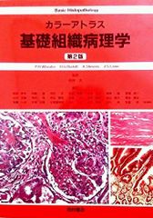 Item thumbnail for item ac0c5793-5ded-4e62-84b6-4c3e4ac50a36