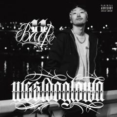 『ジャパニーズHIP HOP適合者』（CASTLE RECORDS限定特典） CASTLE-RECORDS/特典・自社商品ページ