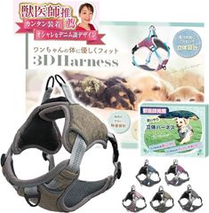 Item thumbnail for item 3e46ee6e-fa6d-4c35-9a9b-00948430e8eb