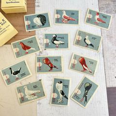 505・【一点限り】マッチラベル　鳥イラスト　12柄　1956年頃　レア　アンティーク　ラベルシート 切手趣味週間　チェコ　コレクション　海外ヴィンテージ　蚤の市　海外アンティーク　図鑑　ラベル　海外紙物　チェコ　海外紙もの　雑記帳　古い紙もの　交換便