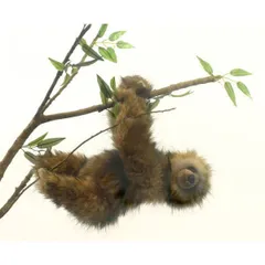 HANSA ミツユビナマケモノ34 H34(cm) 4580 ぬいぐるみ ハンサ クリスマス 誕生日 プレゼント 動物 犬 猫 鳥 うさぎ ペンギン アニマル 置物 人形 フィギュア KOESEN ケーセン 大きい マスコット 実物大 大型