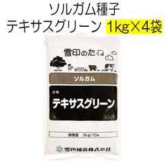 ソルガム種子　品種名：テキサスグリーン　4kg（1kg×4袋）雪印種苗