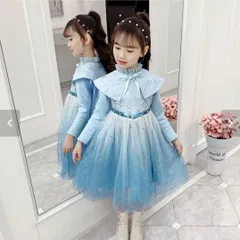 アナ雪2 エルサドレス