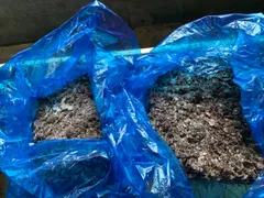2025年最新】ウニ 釣り餌の人気アイテム - メルカリ