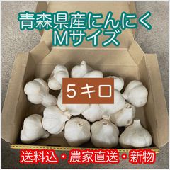 青森県にんにく3KgL 青森県 ”国産にんにく” 約3kg 等級A/B 2Lサイズ以上 送料無料