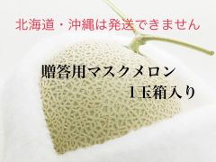 贈答用マスクメロン1玉箱入り
