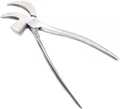 Item thumbnail for item f0e2c74a-2d6d-4688-8dc0-bf1a4983dad0