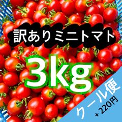 本年度終了山形県産採れたて訳ありミニトマト3kg