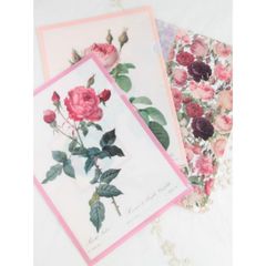 Rosa centifolia ボタニカルアート クリアファイル 6枚セット - メルカリ