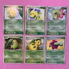 2025年最新】リーフチコリーの人気アイテム - メルカリ