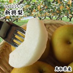 ☆10月上旬～中旬より収穫次第予約順に発送☆鳥取県産 新興梨(5kg箱8-18玉入)【訳あり自家用】果物しんこうなしナシ興5