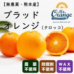 無農薬 国産 ブラッドオレンジ タロッコ種（熊本産）1ｋｇ　クール便でのお届け
