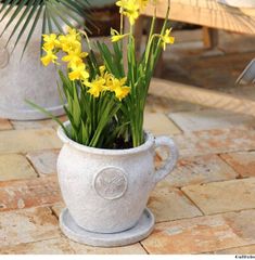 取手付き プランター カップ マグ 多肉植物 盆栽 観葉植物 花 おしゃれ 植木