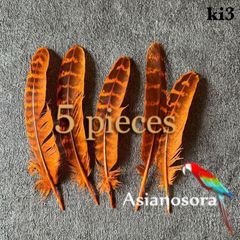 ◾️⭐︎【ki3 オレンジ】5枚キジ 鳥の羽根 フェザー 素材 パーツ