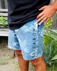 2025春夏 新品【BILLABONG/ビラボン】ALLDAY LT ボードショーツ IND メンズ BF011501