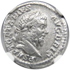 【 古代コイン 】 ローマ帝国 AD209-211 プスブリウス・セプティミウス・ゲタ・アウグストゥ デナリウス 銀貨 NGC XF 女神エクイティ