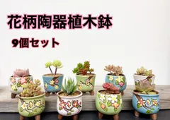 2024年最新】植木鉢 染付の人気アイテム - メルカリ