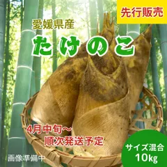 2025年最新】タケノコ 10kgの人気アイテム - メルカリ