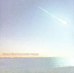 2024年最新】schroeder-headzの人気アイテム - メルカリ