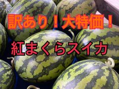 説明必読※最終！限定！訳ありきみかメロン4玉9.1㎏ 14 - メルカリ