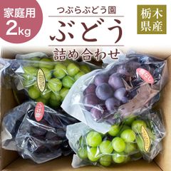 ぶどう 【つぶらぶどう園】 家庭用 詰合せ ぶどう色々 品種お任せ 2kg 栃木県栃木市