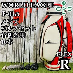 【良品】初心者推奨 ワールドイーグル F-01α メンズゴルフセット 10本 R