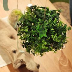 インテリアグリーン フェイクグリーン ボール 球体 丸型 観葉植物 リアル 装飾品 飾り インテリア 置き物 おしゃれ カントリー ナチュラル 【azm-lfs-902】