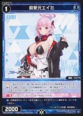 ブルアカ　ブルーアーカイブ　和泉元エイミ　缶バッジ　アニメイト限定　21点セット ブルアカ ブルーアーカイブ 和泉元エイミ 缶バッジ アニメイト