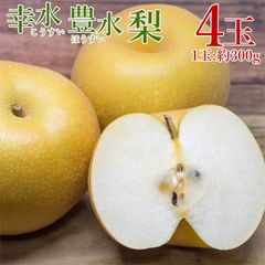送料無料 幸水梨　1玉 約 300ｇ 4玉 梨 幸水 予約 佐賀県産 佐賀県 佐賀 ナシ 三水 4玉 ギフト プレゼント ご自宅用 果物 くだもの