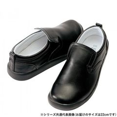 Item thumbnail for item a6b17299-7574-4545-a323-b614f7ace777