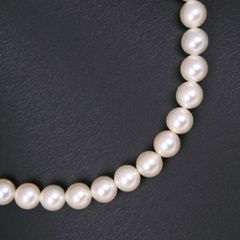 真珠 8.0～8.4ｍｍ パール×シルバー レディース ネックレス