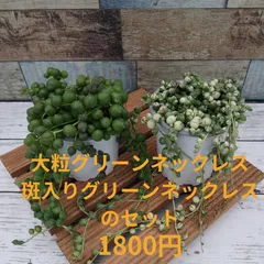 2025年最新】第四種郵便物の人気アイテム - メルカリ