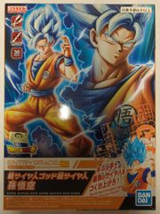 BANDAI SPIRITS ENTRY GRADE 드래곤 볼 슈퍼 초사이어인 갓 초사이어인 손오공