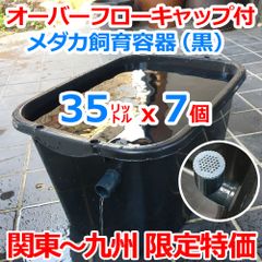 メダカ飼育ケース 35㍑黒x7個 オーバーフローキャップ付 メダカ飼育容器 メダカ飼育セット 金魚 らんちゅう 水草 ビオトープ 睡蓮 水槽 タライ トロ舟 プラケース ボックス 色揚げ【約50cmx約38cmx約29cm】（関東～九州への発送限定）