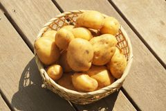 【訳アリ品！越冬で美味しい！】北海道 十勝産 メークイン 10kg 規格外 帯広 新じゃが 越冬 ジャガイモ 馬鈴薯 野菜 北海道 お取り寄せ