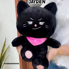 enhypen ジェイ　45cm ぬいぐるみ　新品　マスター A7gsF8brSGG5JxW6vNBGAm.png@jpg