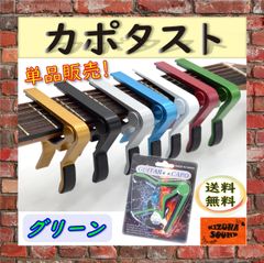 QE27 エレキ用 コーティング弦 ノーマルライトゲージ Orphee 新品