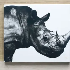 2025年最新】mr.children 抱きしめたいの人気アイテム - メルカリ