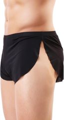 Item thumbnail for item 46923137-dcc6-4d1b-83f7-281cb46d9ee7