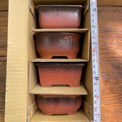 文五郎窯 小品盆栽鉢 ミニ盆栽鉢 6個セット - メルカリ