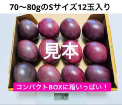 しわしわ食べごろパッションフルーツ沖縄県産 中玉〜大玉 10〜12個 