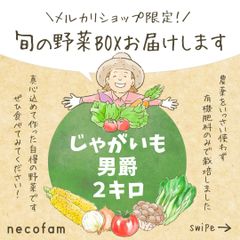 【埼玉県産/数量限定】男爵　2キロ（2㎏）