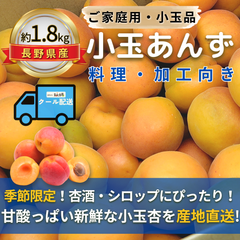 小玉あんず～杏シロップ・杏酒用～【内容量】約1.8kg【配送方法】クール配送【サイズ】L以下【品目】杏（あんず）【品種】当店お任せ【産地】長野県【規格】ご家庭用A品B品混合【詰め方】バラ詰め【配送までの日数】1～4日