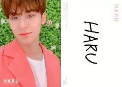 【中古】コレクションカード(男性) 043[ノーマルカード]：SEVENTEEN/MINGYU(ミンギュ)/ノーマルカード/「SEVENTEEN 2019 JAPAN TOUR ’HARU’」トレーディングカード